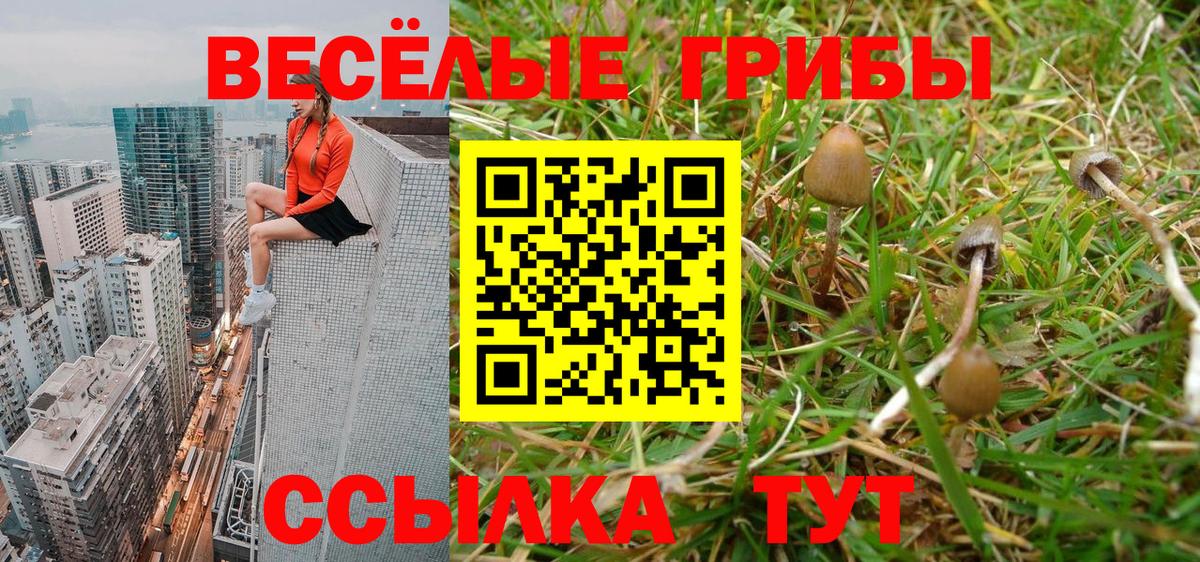 Галлюциногенные грибы мицелий  Вход с VPN  Камень-на-Оби 