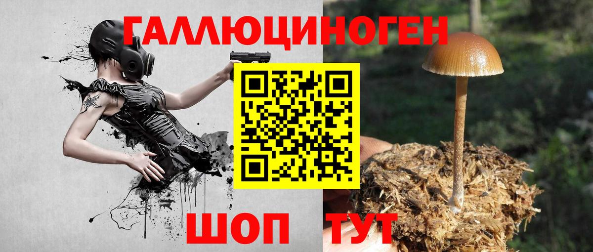 Галлюциногенные грибы GOLDEN TEACHER Камень-на-Оби